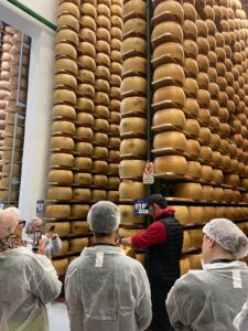 Visita in un caseificio di Parmigiano Reggiano