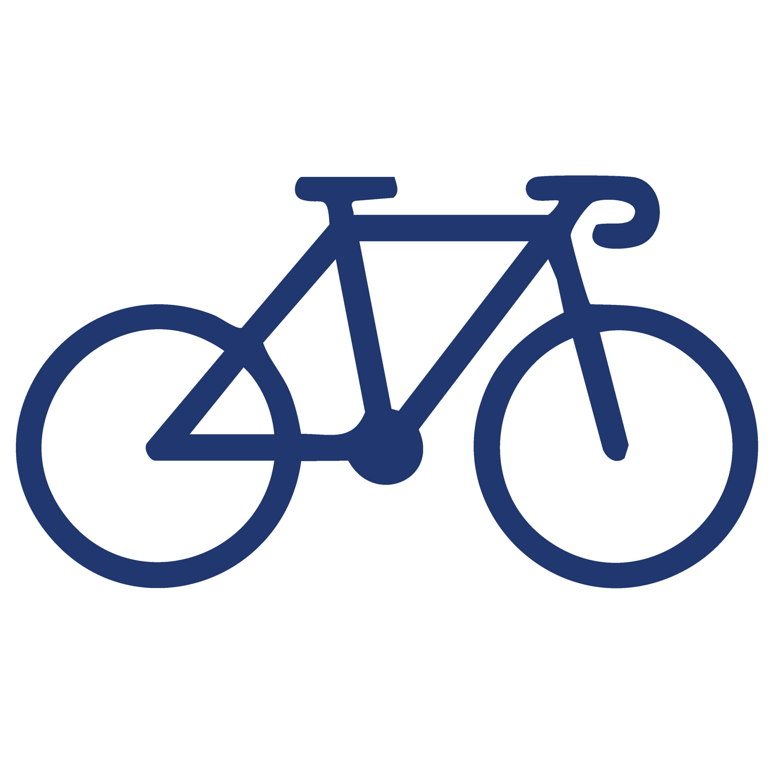 Possible bike excursion instead of boat excursion bici